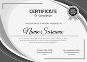 Team details - Digital Kiwis