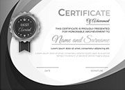 Team details - Digital Kiwis