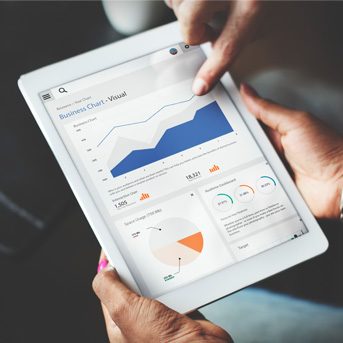 Web development - Digital Kiwis