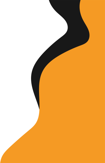 Home Light - Digital Kiwis