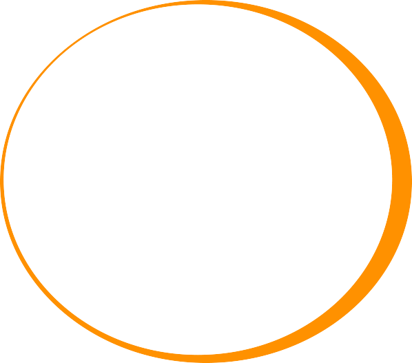 Services - Digital Kiwis